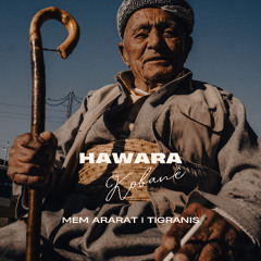 Hawara Kobanê