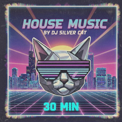 HOUSE 30 MIN
