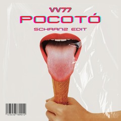 Mc Serguinho - Pocoto (VV77 Schranz Edit) [FREE DL]