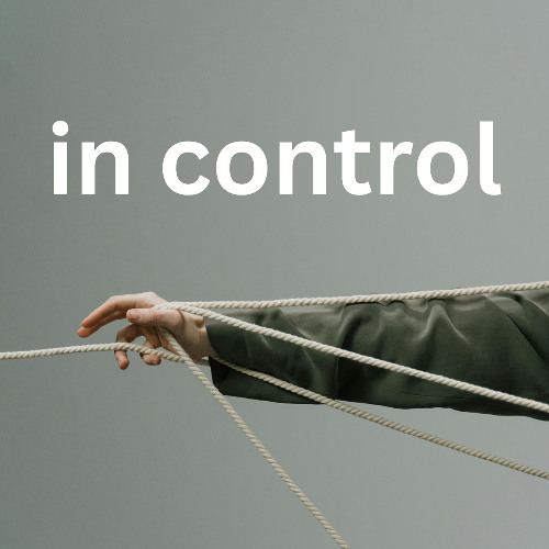 in control [Free DL]