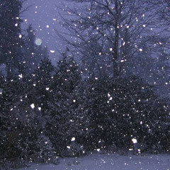 Dream Girl (demo）