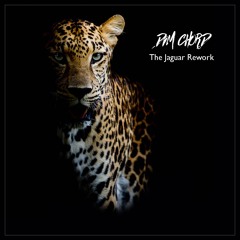 Dim Chord - The Jaguar Rework