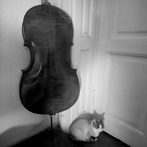 Impro Ensemble - Session Mansarda Ioan Bianu