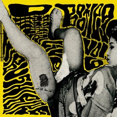 HIBUSHIBIRE 'Official Live Bootleg Vol 6' (Teaser/2021)