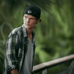 Avicii - Wake Me Up but its DRILL