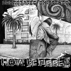 SEGREGATED EXISTENCE - How It Feels