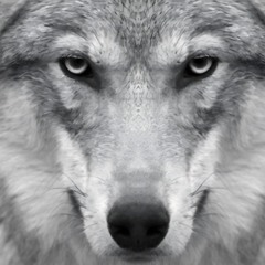 💥Look Deep Into Your Soul 💥