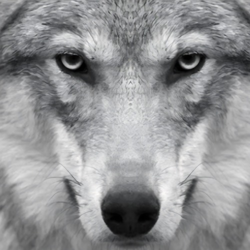 💥Look Deep Into Your Soul 💥