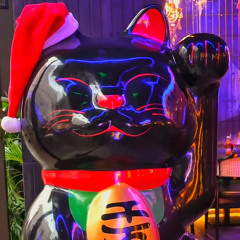 DJ R A U L - Christmas Set 2025 | CHIN CHIN