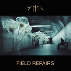 AMB - Field Repairs
