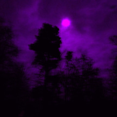 demons in sight (prod. yxngxs)