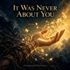It Was Never About You