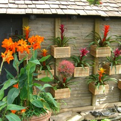 DON'T FORGET KALIEF BROWDER