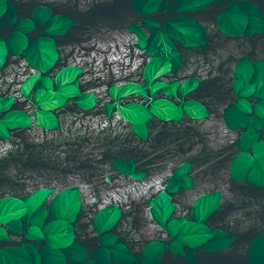 Gudah LyFE, REPUS METI - XUMANXI (Prod. Call Me G)