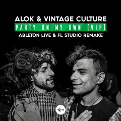Alok & Vintage Culture - Party On My Own (Vip Mix) [Instrumental Remake By RVERSOLOOPS]