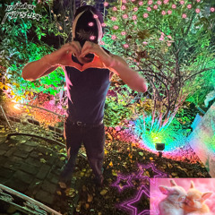 Kuscheltrance°❀⋆.ೃ࿔*･(auf süß)✧₊⁺