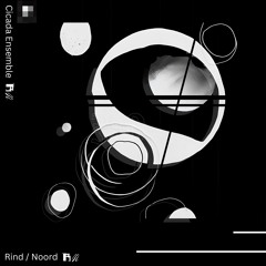 Rind / Noord