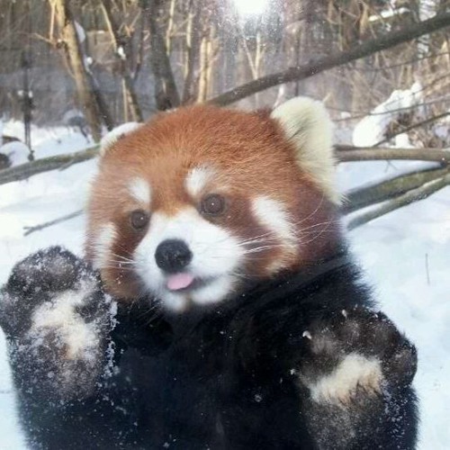 rain in the boulevard prod connor