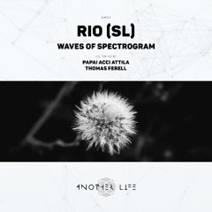 RIO (SL) - Waves Of Spectrogram (Original Mix) [Another Life Music]