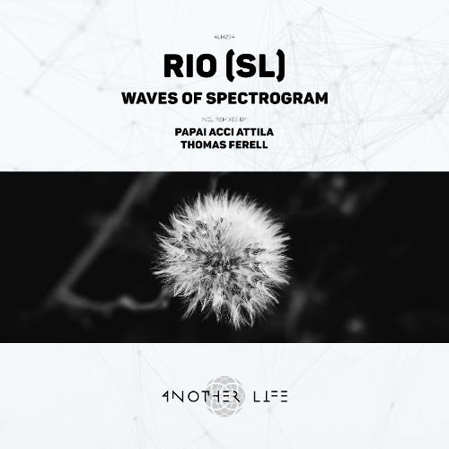 RIO (SL) - Waves Of Spectrogram (Thomas Ferell Remix) [Another Life Music]