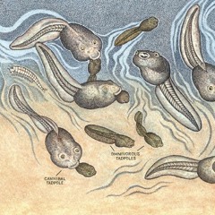 Entre caníbales (soda cover)