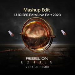 Rebelion - Echoes (Vertile Remix)(LUCID'S Edit/Live Edit 2023)