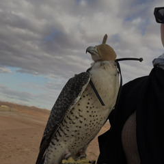 حزت غيابي - عيضه المنهالي ♡