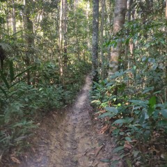 Washigton23092018bsb