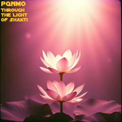 Through the Light of Shakti