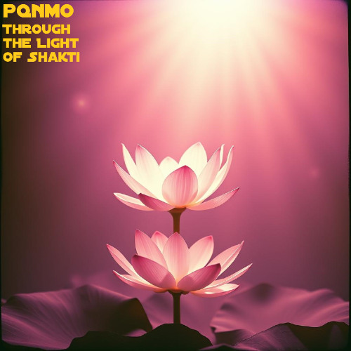 Through the Light of Shakti