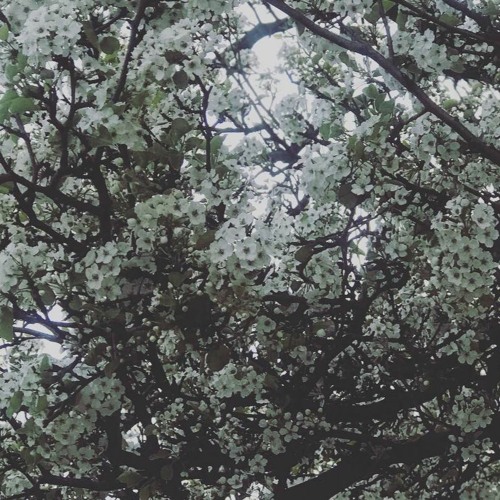 I'm Not Good Enough - Arelize