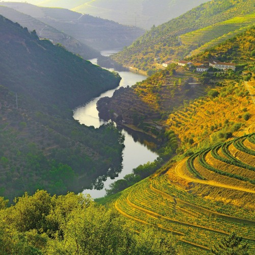 BLADE T3CHNOLOGY INSTRUMENTAL (VERSION II) PROD. KRXXK