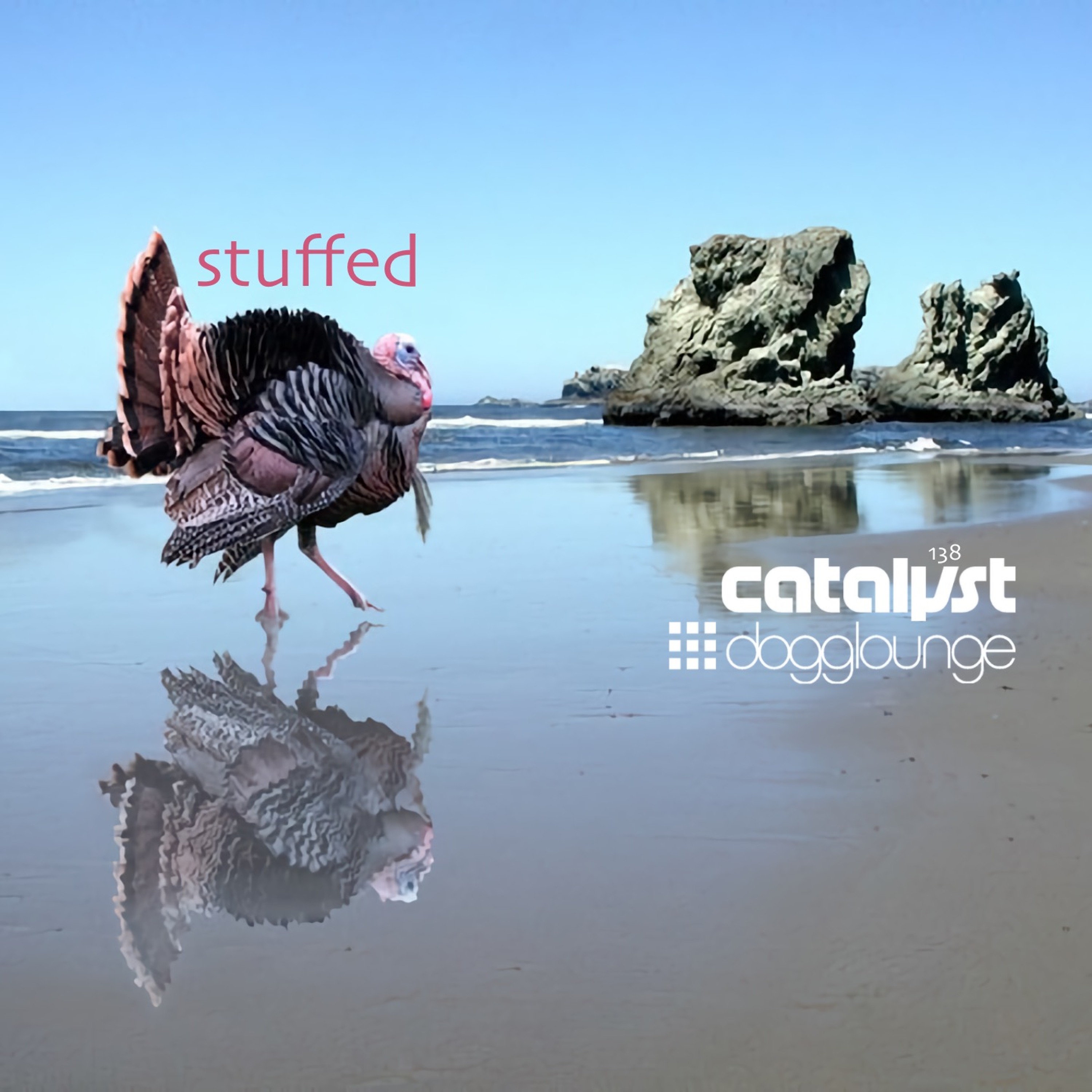 cover of episode DL138 - stuffed