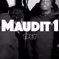 TPEY - MAUDIT