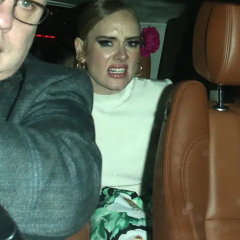 ADELE DOGG - ROLL IN THE DEEP EVERYDAY.wav