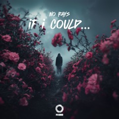 No Rays - if i could...