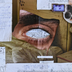 Ending - "Does the eye get used to the darkness after a while ?" - Theater Music