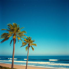 Holiday