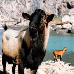 HK_Funky-Dub-Trap_tracks_16