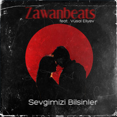 Sevgimizi Bilsinlər (feat. Vüsal Əliyev)