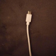 śmiech na kółkach i cyrk na sali sądowej