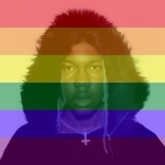 Destroy Lonely - By The Pound (GAY VERSION)