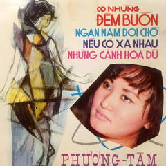 Có Những Đêm Buồn