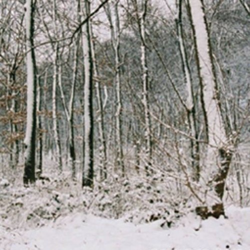 Elements Mix 2, Inspired by Emancipator