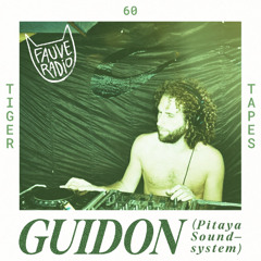 Tiger Tapes 060 - Guidon (Pitaya Soundsystem)