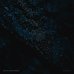 Gaman (Orchestra Version)