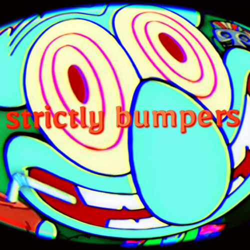 03 strictly bumpers