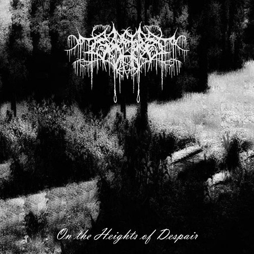 DSBM to soothe your dying soul - 3