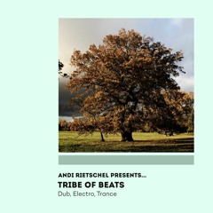 Asymetrics Mixtape #9: Andi Rietschel - Tribe of Beats