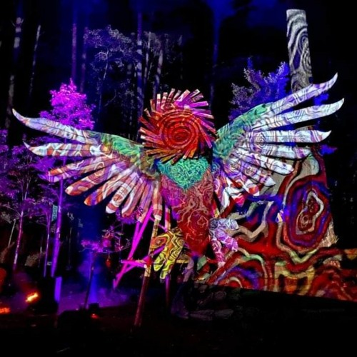 Pete Rowbots @ Psycristrance Festival - Mexico - New Years Eve 2021/2022